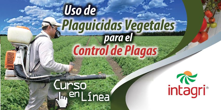 uso-de-plaguicidas-vegetales