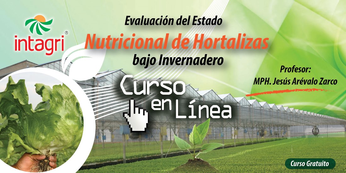 Evaluación del Estado Nutricional de Hortalizas bajo Invernadero