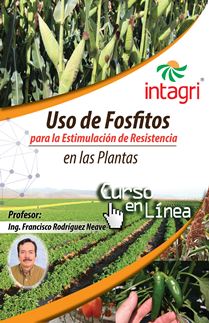Curso Virtual: Uso de Fosfitos en la Bioestimulación y Fitosanidad de los Cultivos