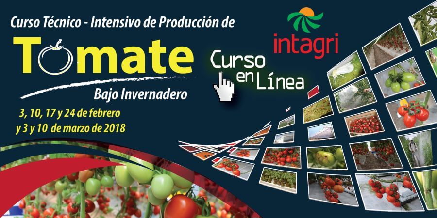 Curso Internacional de Producción de Tomate, Online