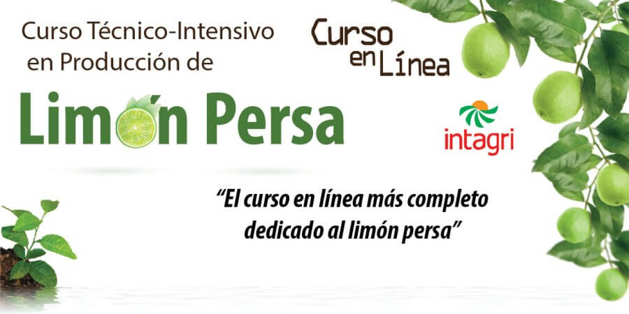 Curso Internacional sobre Producción de Limon Persa