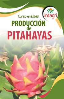 Curso Virtual: Cultivo de Pitahaya, Dragon Fruit (Hylocereus spp.)