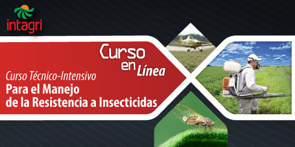 Curso Técnico-Intensivo para el Manejo de la Resistencia a Insecticidas