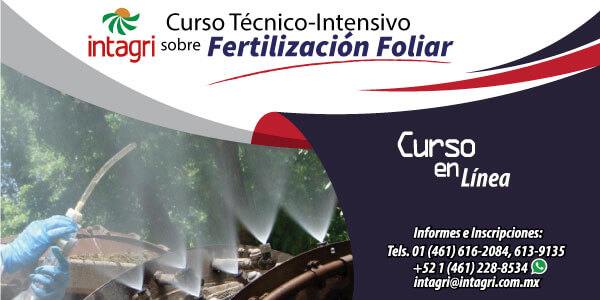 Fertilizacion Foliar