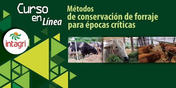 Alternativas para la conservación de forrajes para épocas críticas