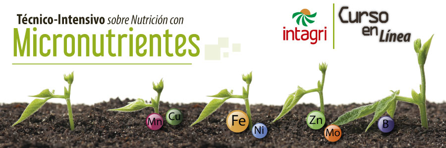 Curso tecnico intensivo sobre nutricion con micronutrimentos