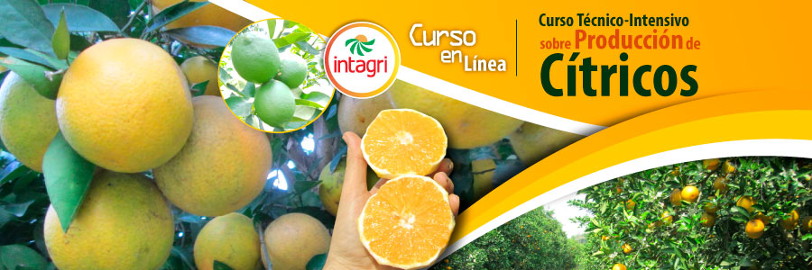 Produccion y nutricion de citricos
