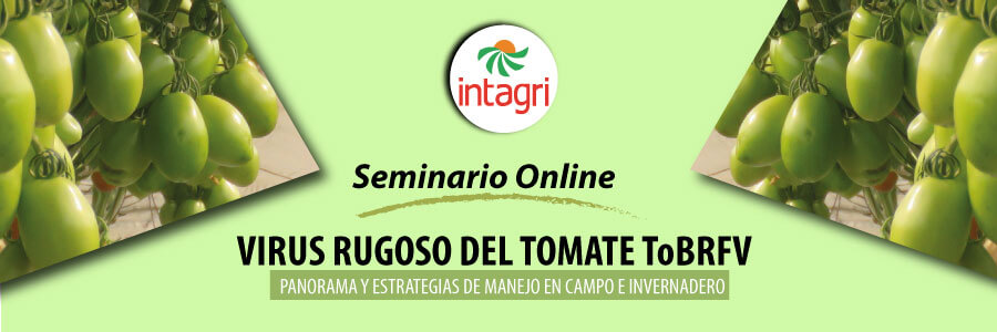 Curso online de virus rugoso