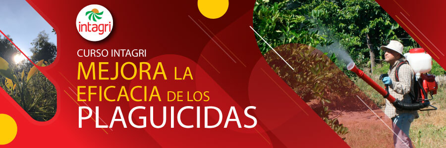 Curso INTAGRI plaguicidas