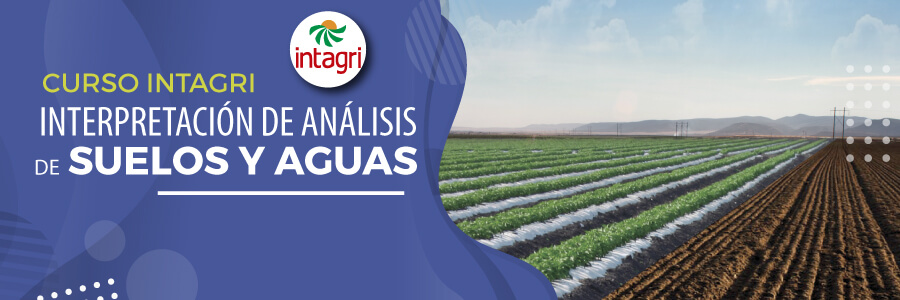 Curso INTAGRI de Interpretación de Análisis de Suelos y Aguas