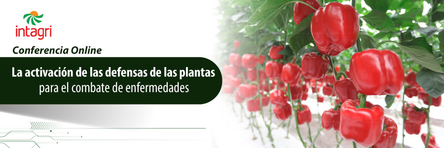 Conferencia Online “La activación de las defensas de las plantas como una solución real de combate contra las enfermedades”