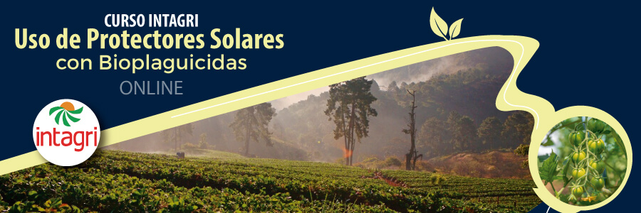 Curso INTAGRI de Uso de protectores solares