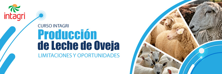 Conferencia Producción de Leche de Oveja: Limitaciones y Oportunidades