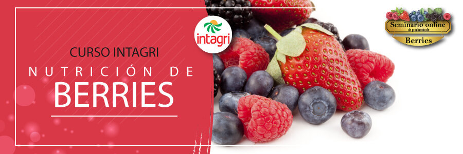 Congreso INTAGRI sobre Producción de Berries