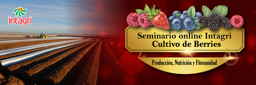 Seminario de berries