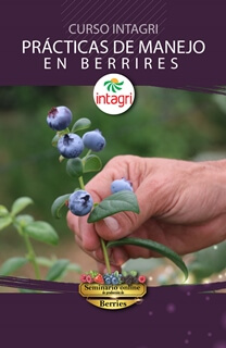 Curso INTAGRI sobre Prácticas de Manejo en la Producción de Berries