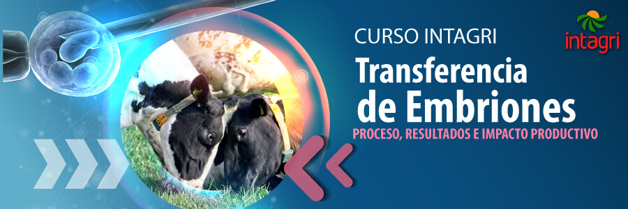 Transferencia de embriones: proceso, resultados e impacto productivo