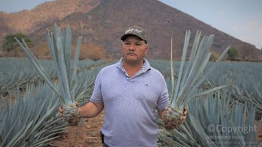 Manejo Agronómico y nutricion