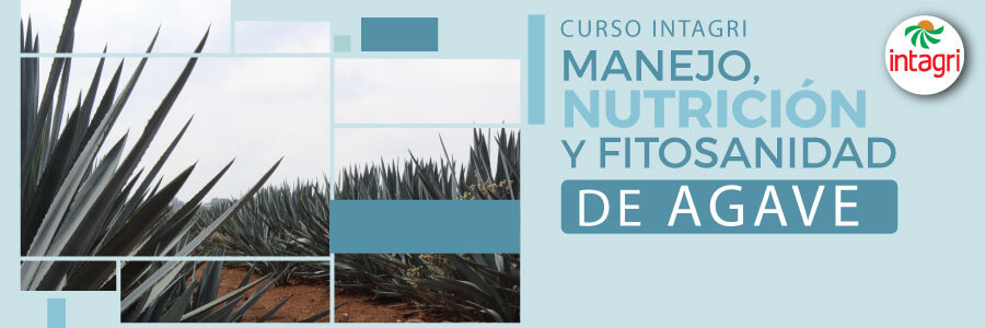 Curso de manejo, fitosanidad y nutricion de agave