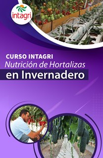 Curso Virtual: Nutrición de hortalizas en invernadero