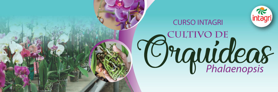 Curso de produccion y nutricion de orquideas