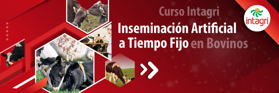 Curso sobre inseminación fija