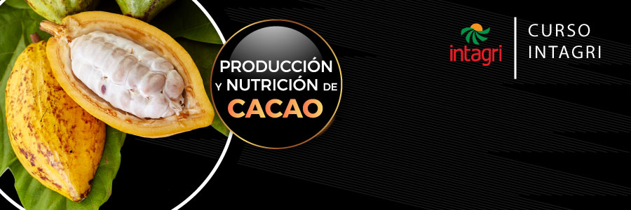 Curso producción y nutrición de cacao