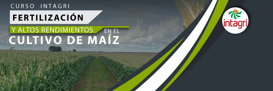 Curso de cultivo de maiz