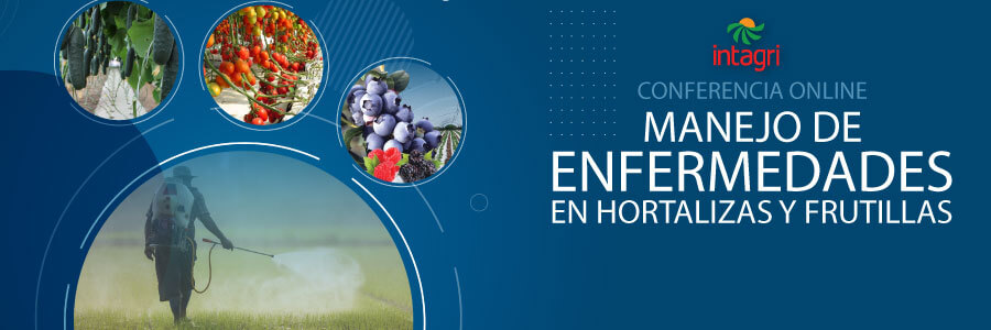 Conferencia Online Gratis “Manejo de enfermedades en hortalizas y frutillas”