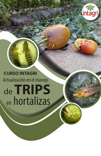 Curso Virtual: Manejo Integrado de Trips en Hortalizas