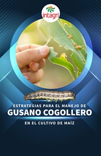 Webinar Gratuito: Estrategias para el Manejo de Gusano Cogollero en el Cultivo de Maíz