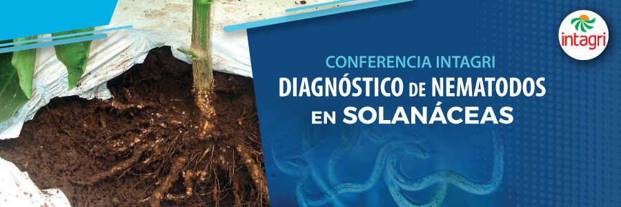 curso de nematodos en solanaceas