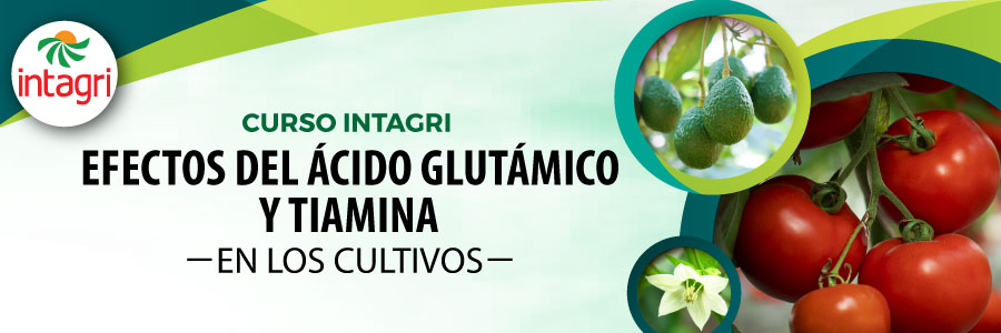 webinar de acido glutamico