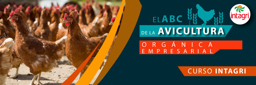 Curso El ABC de la avicultura orgánica empresarial
