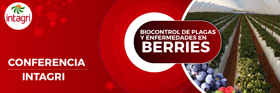 biocontrol de berries