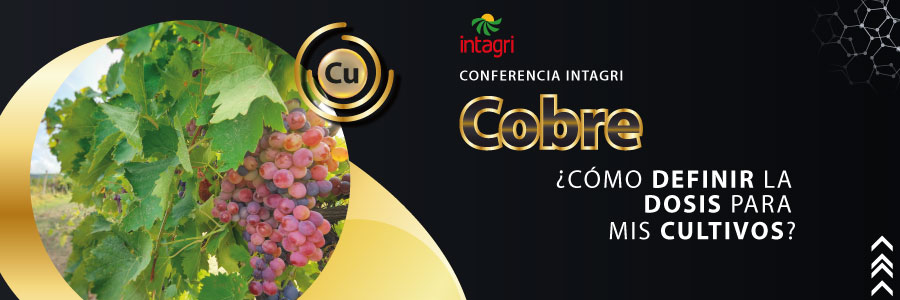 curso de cobre