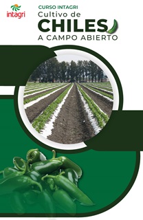 Curso Virtual sobre Cultivo de chiles a campo abierto