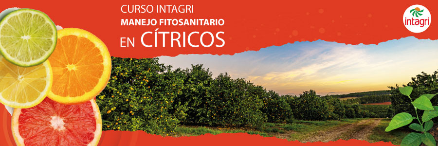 curso de citricos