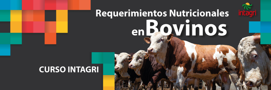 curso de requerimientos de bovinos