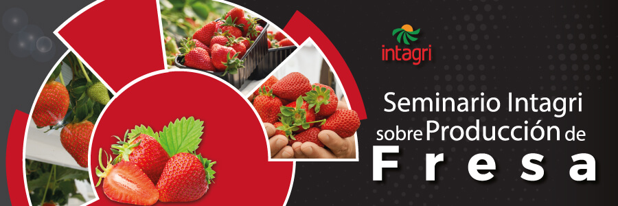 curso de fresa