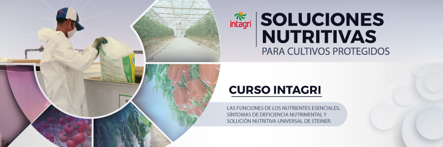 curso de soluciones nutritivas