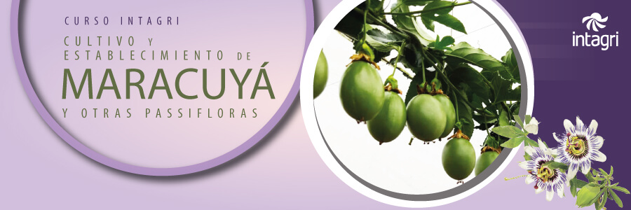 curso de maracuyas y passifloras