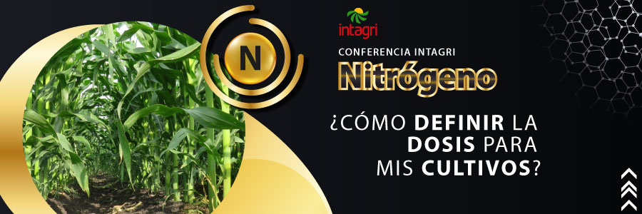 curso de nitrogeno