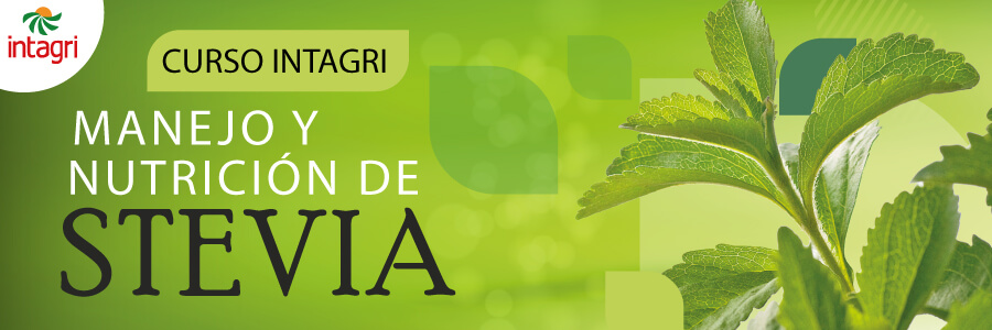 Curso Online Intagri sobre Manejo y Nutrición de Stevia