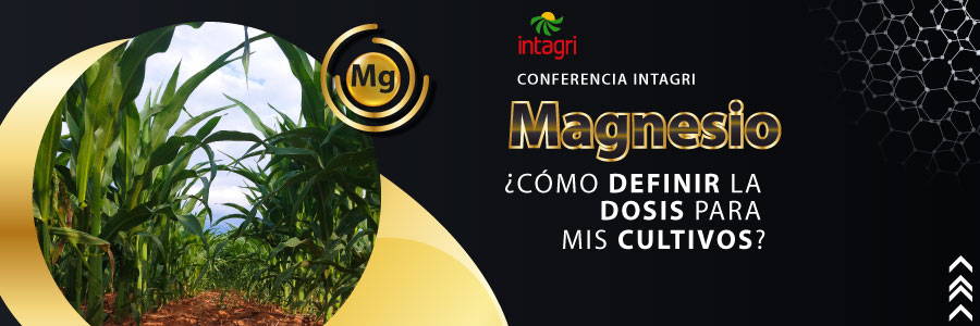 curso de magnesio