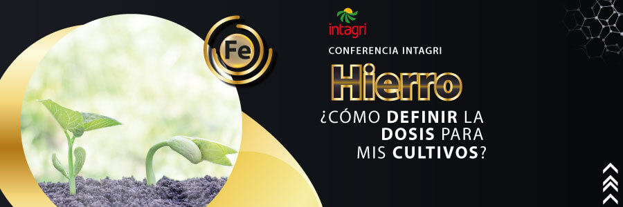 curso de hierro