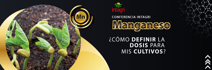 curso de manganeso