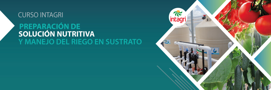 curso de manejo de riego en sustrato