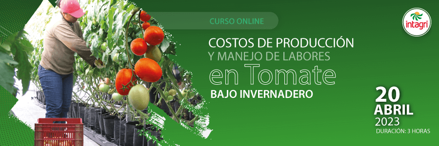 Curso Online Sobre Costos de Producción y Manejo de Labores en Tomate