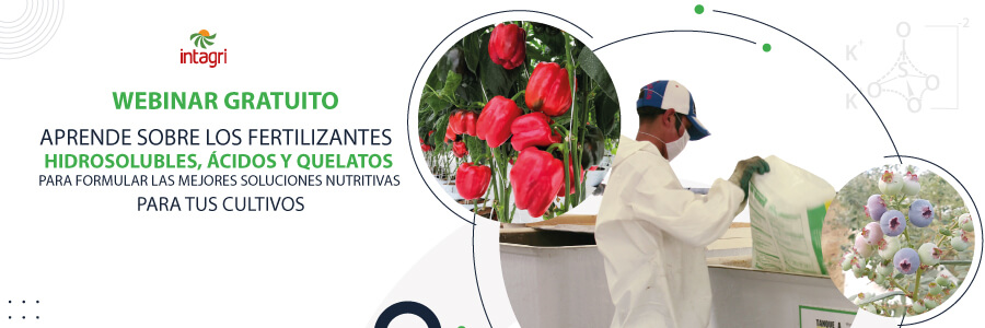curso de Manejo del Riego en Sustrato y la Preparación de la solución Nutritiva